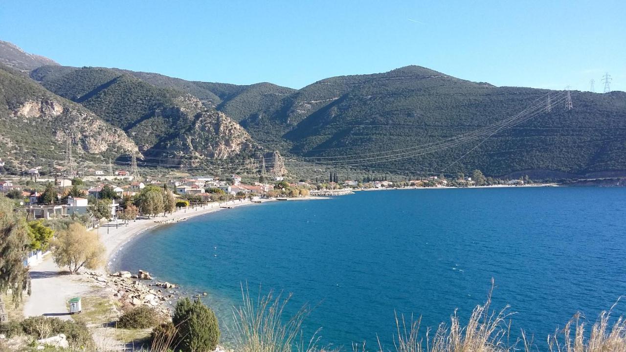 Margherita'S Holidays Home Agios Spyridon  Eksteriør billede