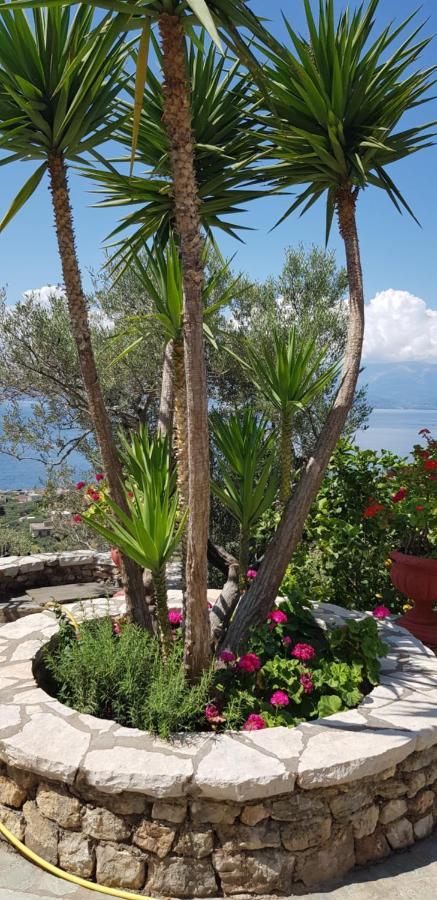 Margherita'S Holidays Home Agios Spyridon  Eksteriør billede